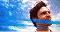 wp2ffe9892.png